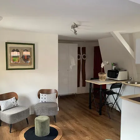 Apartman Coquet Centre Colmar