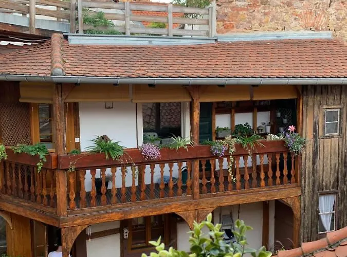 Coquet Centre Colmar