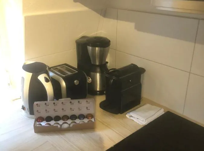 Coquet Centre 公寓 科尔马